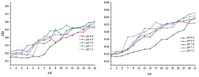 Effect of Environmental pH on Mineralization of Anaerobic Iron-Oxidizing Bacteria